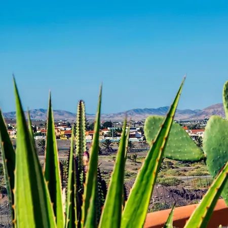 Garden * タラハレホ