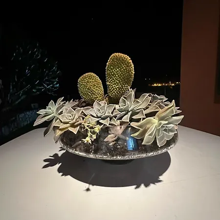 ヴィラ Garden