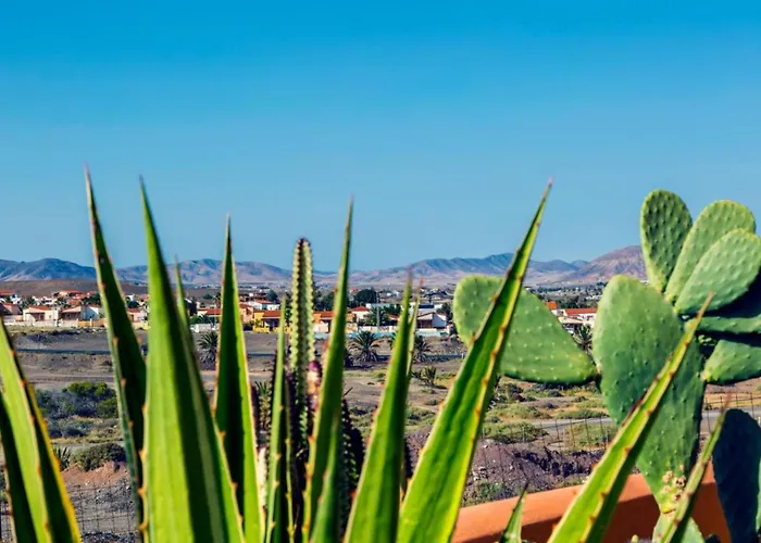 Garden * تاراخاليخو